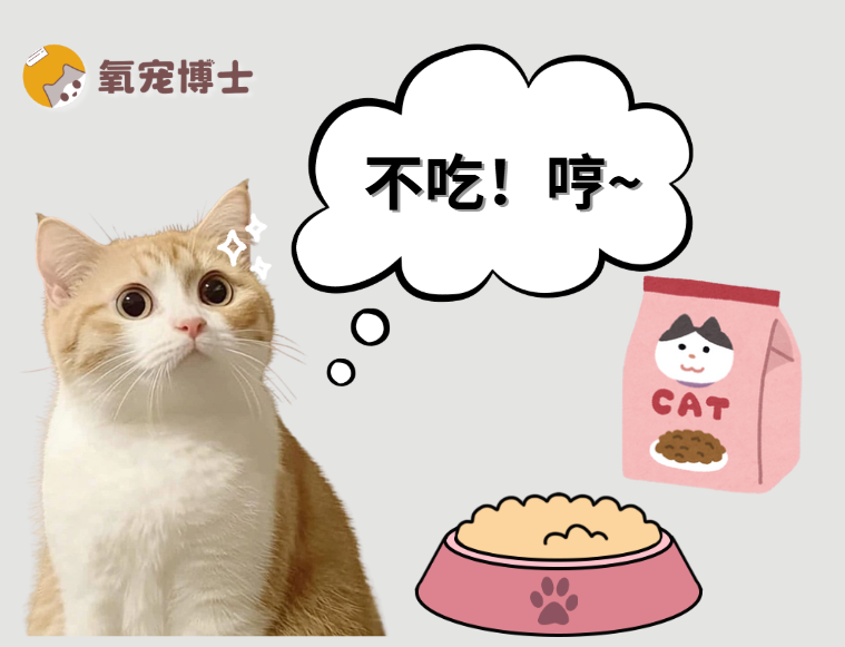 猫咪不吃猫粮只吃猫条怎么办？很简单~