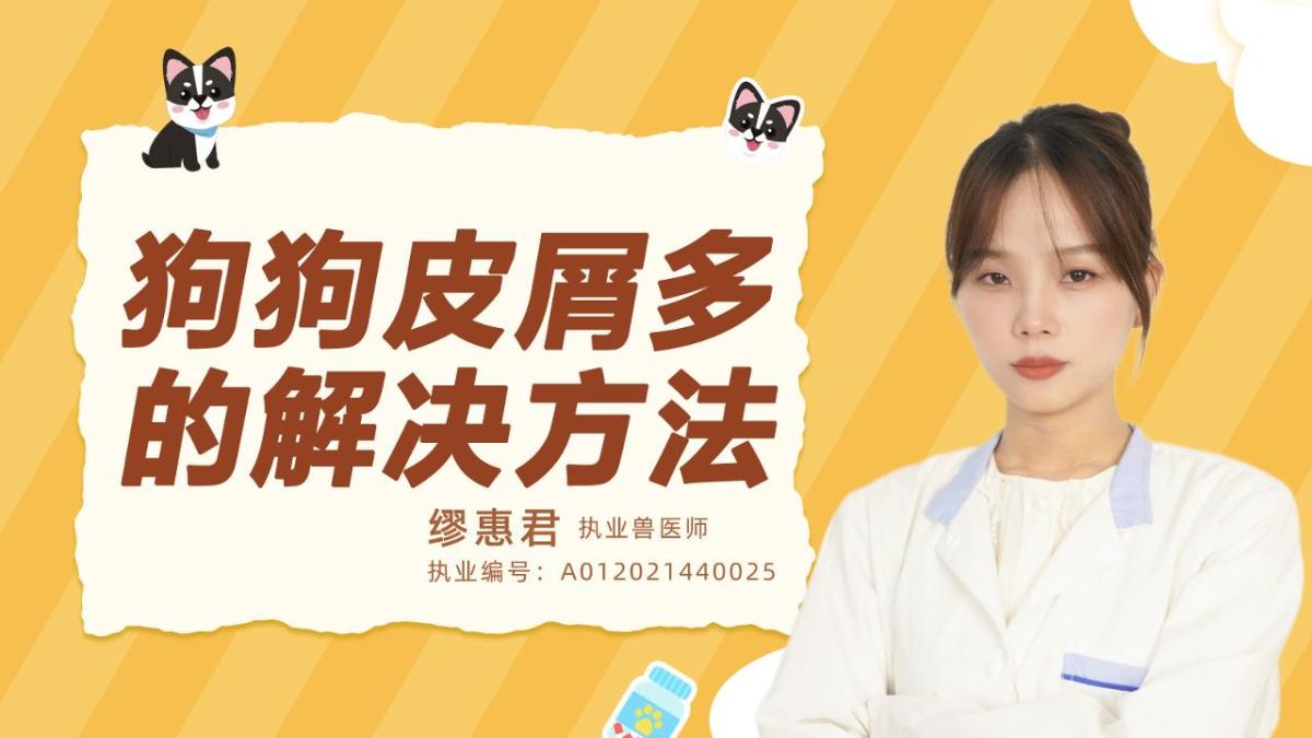 狗狗皮屑多的解决方法有哪些？