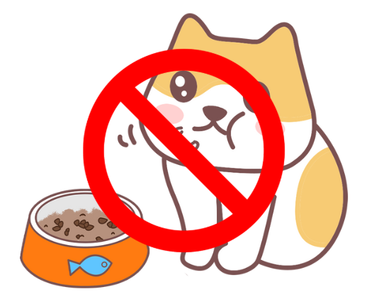 貓咪肝功能不好不能吃什麼？