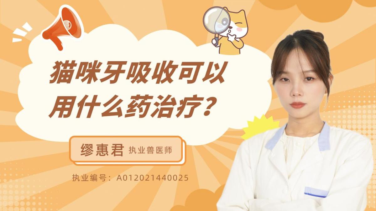 猫咪牙吸收可以用什么药治疗？