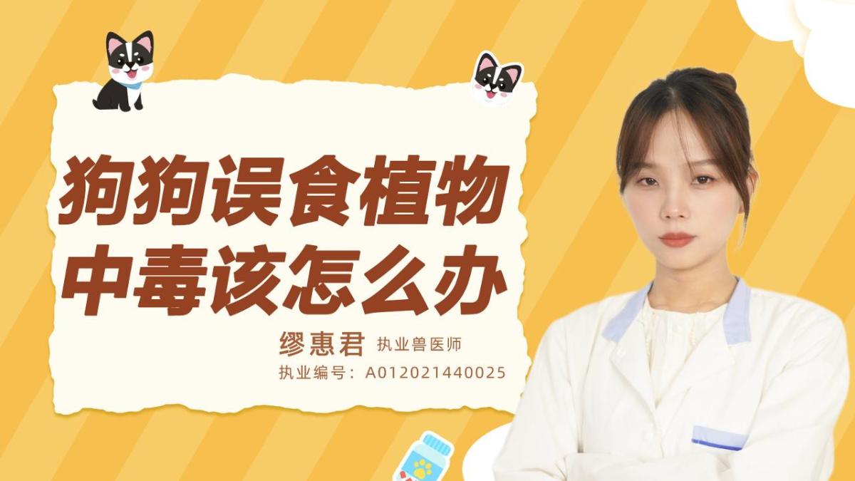 狗狗誤食植物中毒該怎麼辦？