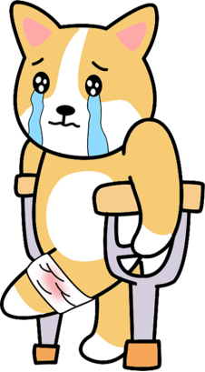 狗狗扭伤