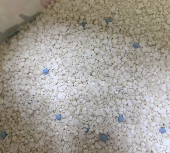 奥丁木薯猫砂测评