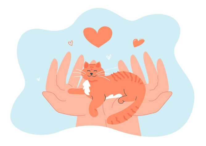 哪款猫咪辅酶Q10比较好？