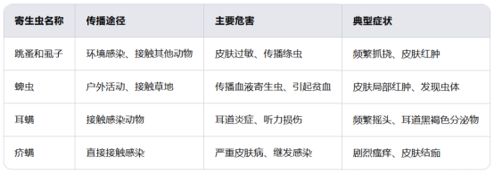 猫咪身上有虫