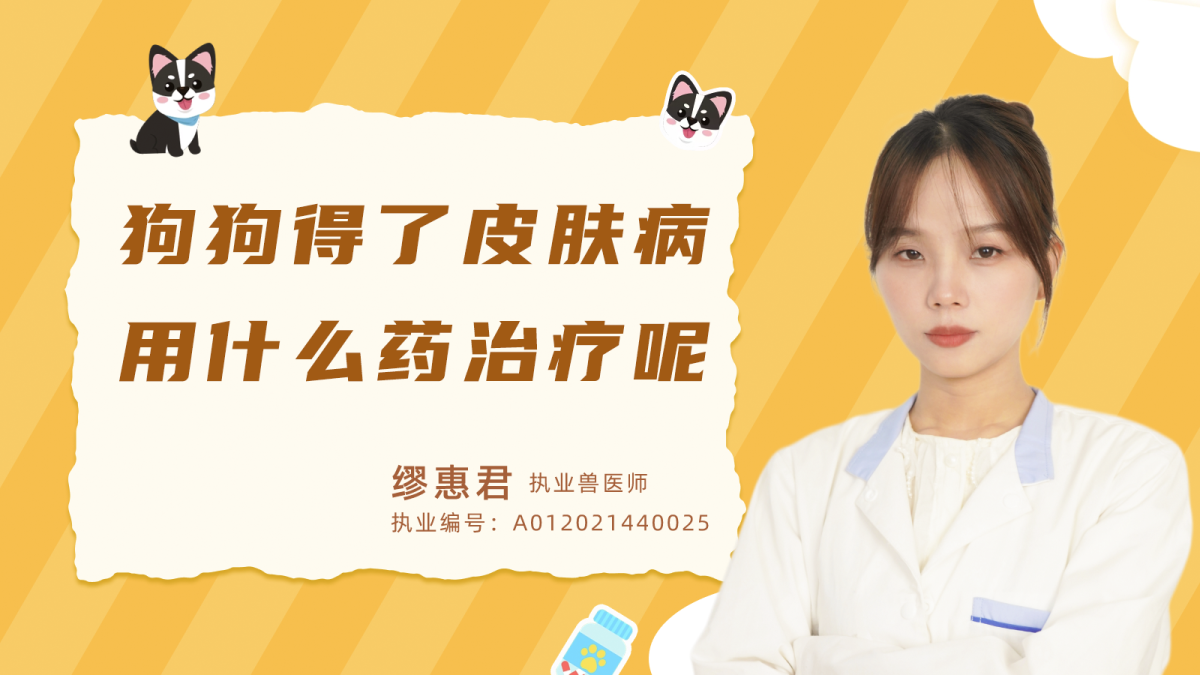 狗狗得了皮膚病用什麼藥治療呢？