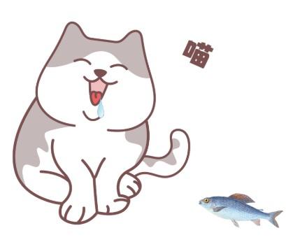 注意！猫咪流口水可能是这些原因