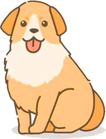 哪些狗狗不适合游泳？