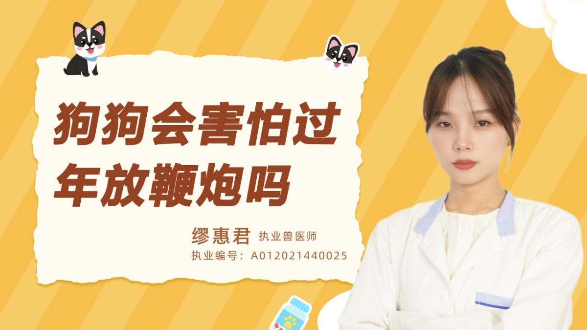 狗狗会害怕过年放鞭炮吗？