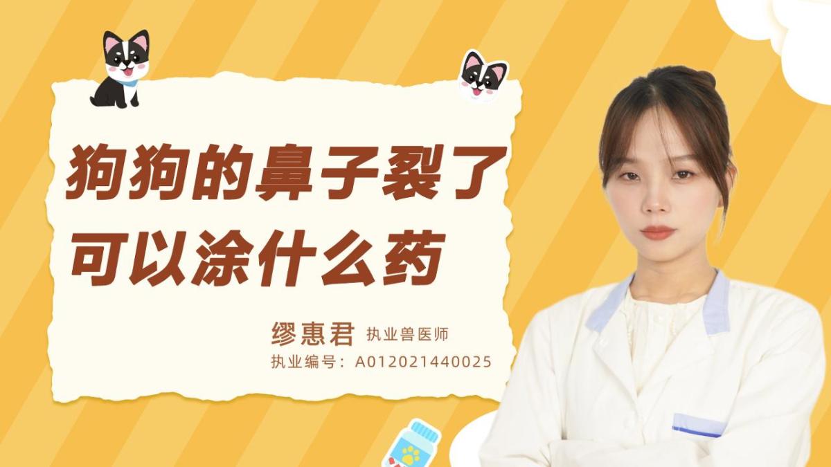 狗狗的鼻子裂了可以涂什么药？