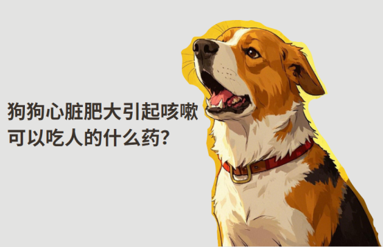 狗狗心脏肥大咳嗽可以吃人用药吗？