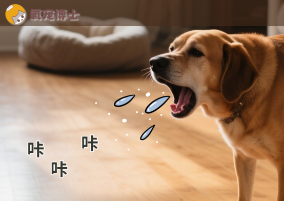 狗狗老是咳嗽怎么办？从原因到用药，一篇读懂