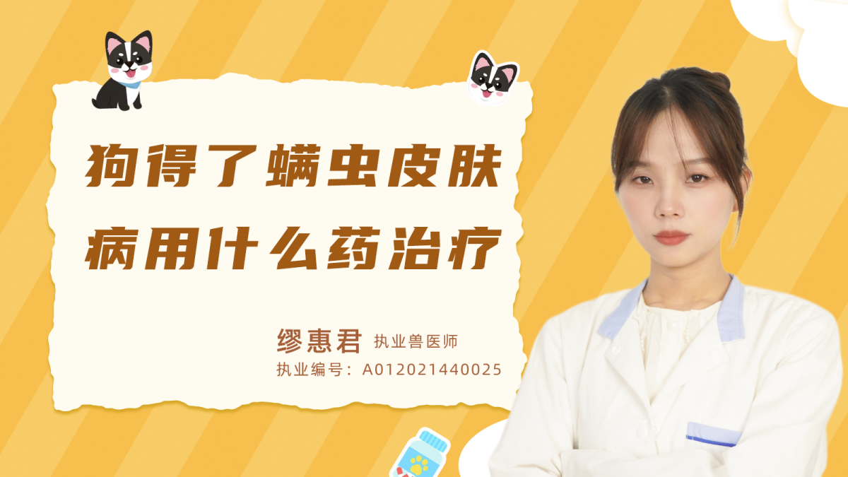 狗狗得了蟎蟲皮膚病用什麼藥治療？