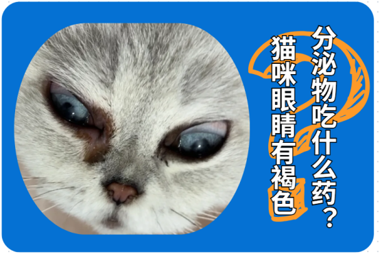 猫咪流眼泪有褐色分泌物吃什么药？