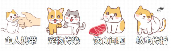 猫不出门需要驱虫吗？