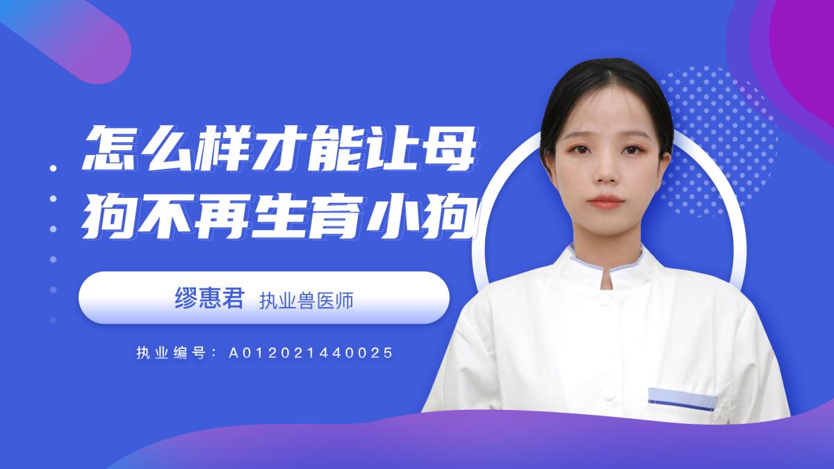 怎么樣才能讓母狗不再生育小狗？