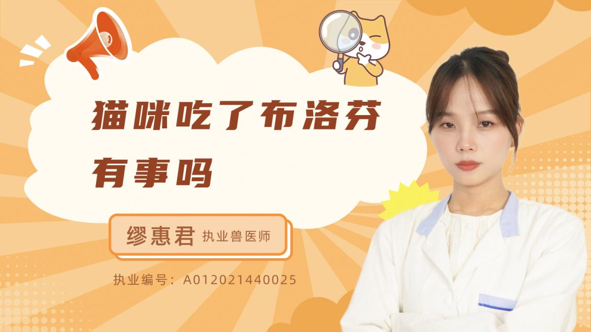 貓咪吃了布洛芬有事嗎？