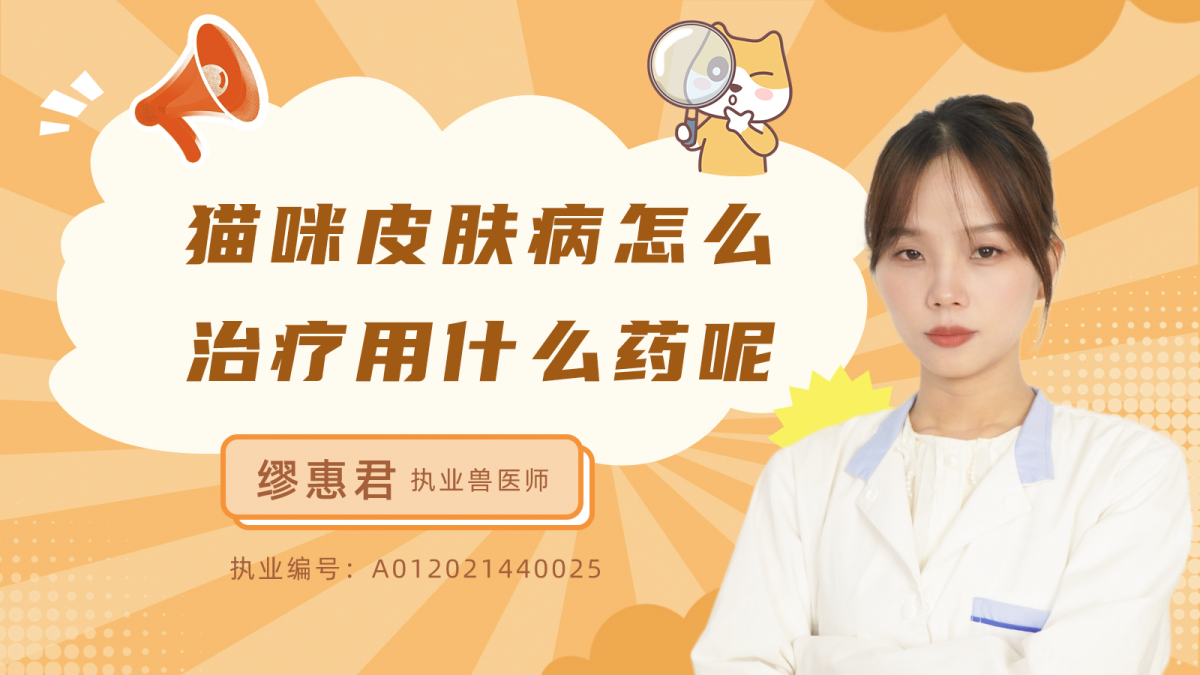貓咪皮膚病怎麼治療用什麼藥？
