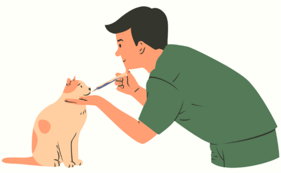 猫咪老是去猫砂盆每次只尿一点