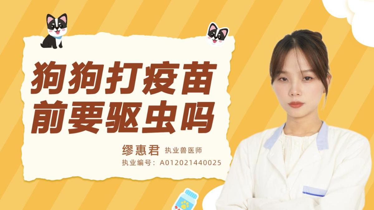 狗狗打疫苗前要驱虫吗？