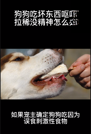 狗狗吃坏肚子呕吐拉稀怎么办？