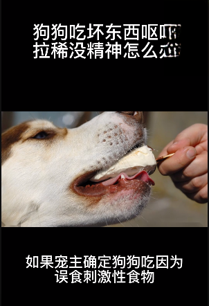 狗狗吃壞肚子嘔吐拉稀怎麼辦？