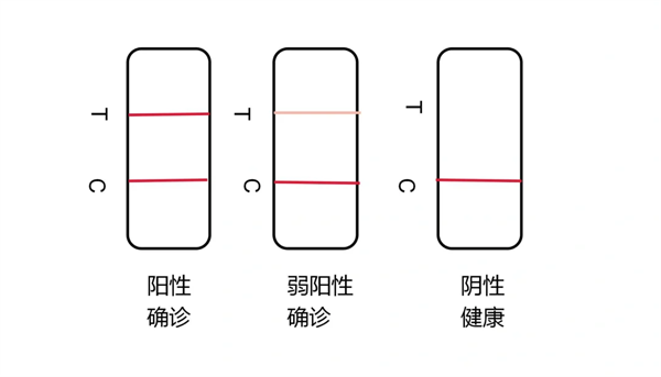 犬瘟试纸检测