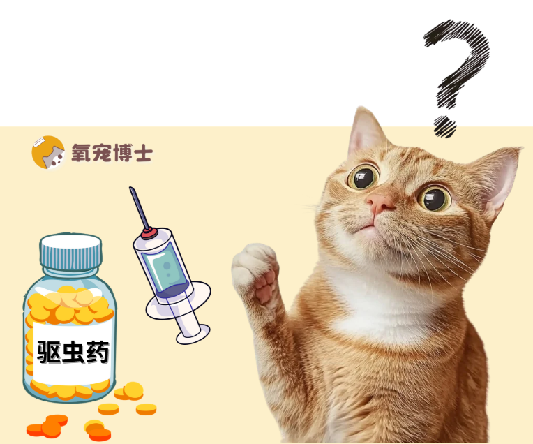 猫咪先驱虫还是先打疫苗？千万别搞错顺序！