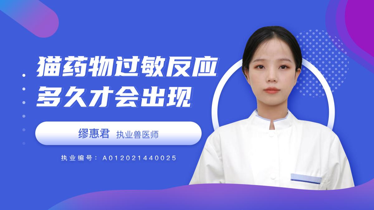 貓咪藥物過敏反應(yīng)多久才會出現(xiàn)？