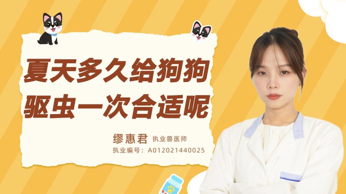 夏天多久给狗狗驱虫一次合适呢？