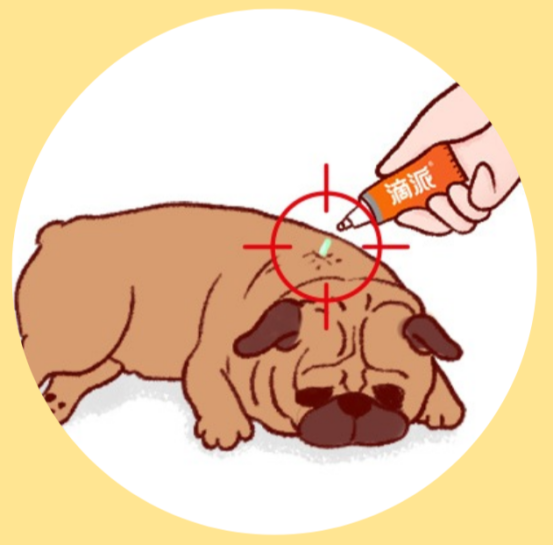 小狗身上癢用什么藥效果好