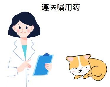 猫咪口炎自愈？别犯傻