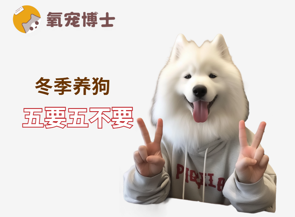 冬季养狗“五要五不要”，快来收藏！
