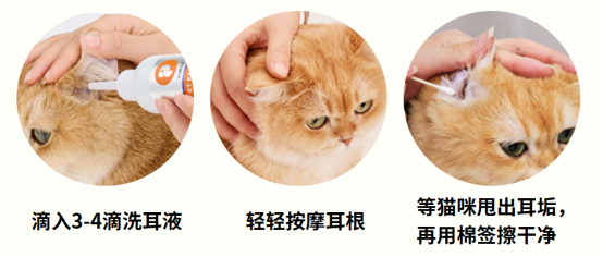 猫咪耳朵里有分泌物怎么办？