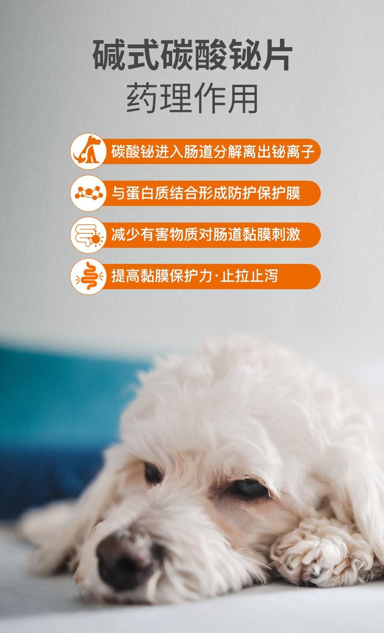 狗狗拉稀腹泻怎么办