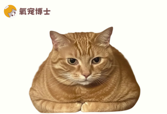 母猫生完小猫后出血几天？