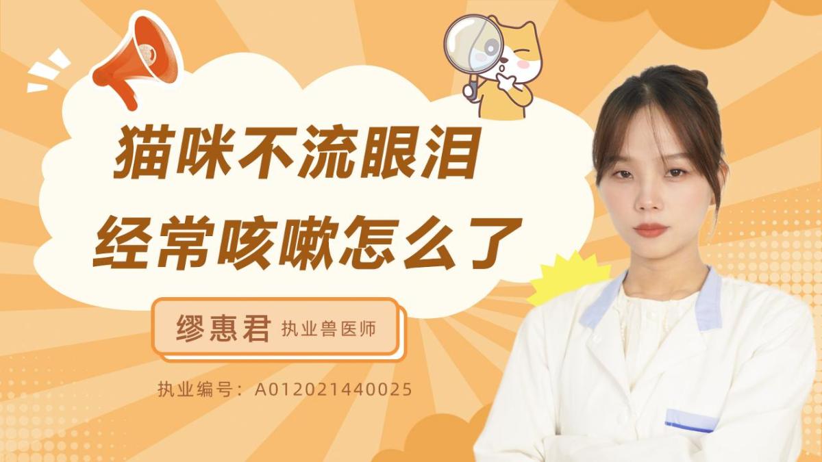 猫咪不流眼泪，经常咳嗽是怎么了？