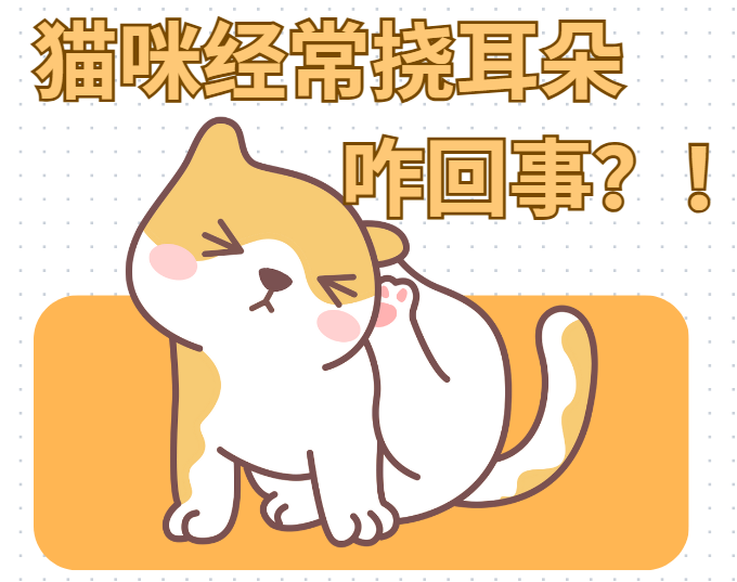 猫咪经常挠耳朵怎么回事？真相竟然是……