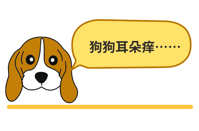 干货分享：狗狗耳朵里痒用什么药？