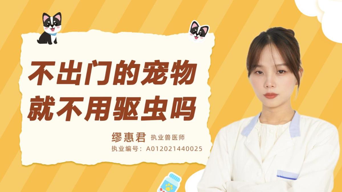 不出门的宠物就不用驱虫吗？