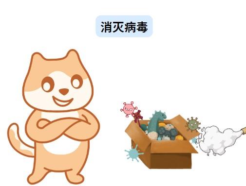 守护喵星人，精选猫鼻支治疗药品指南