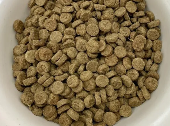 探索新疆驼奶猫粮