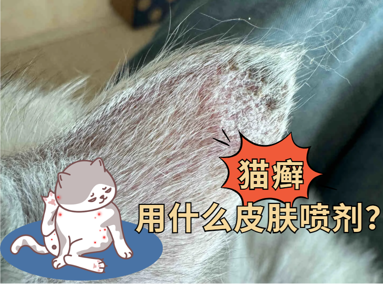 猫咪耳朵长癣掉毛怎么办？