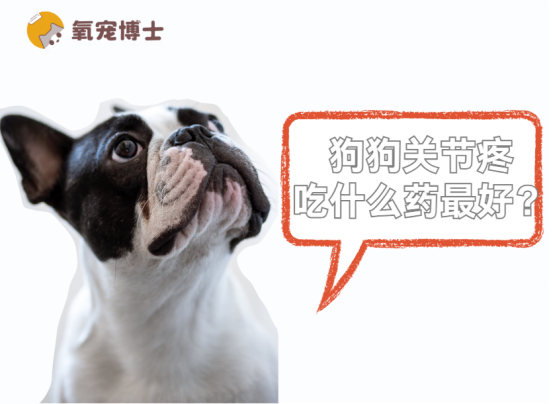 狗狗关节疼吃什么药？