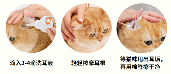 小猫耳朵里有很多黑色的东西怎么清理