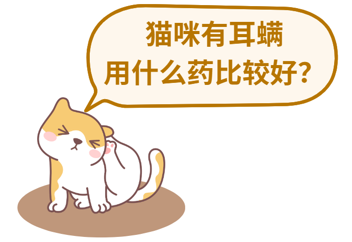 猫咪有耳螨用什么药比较好？