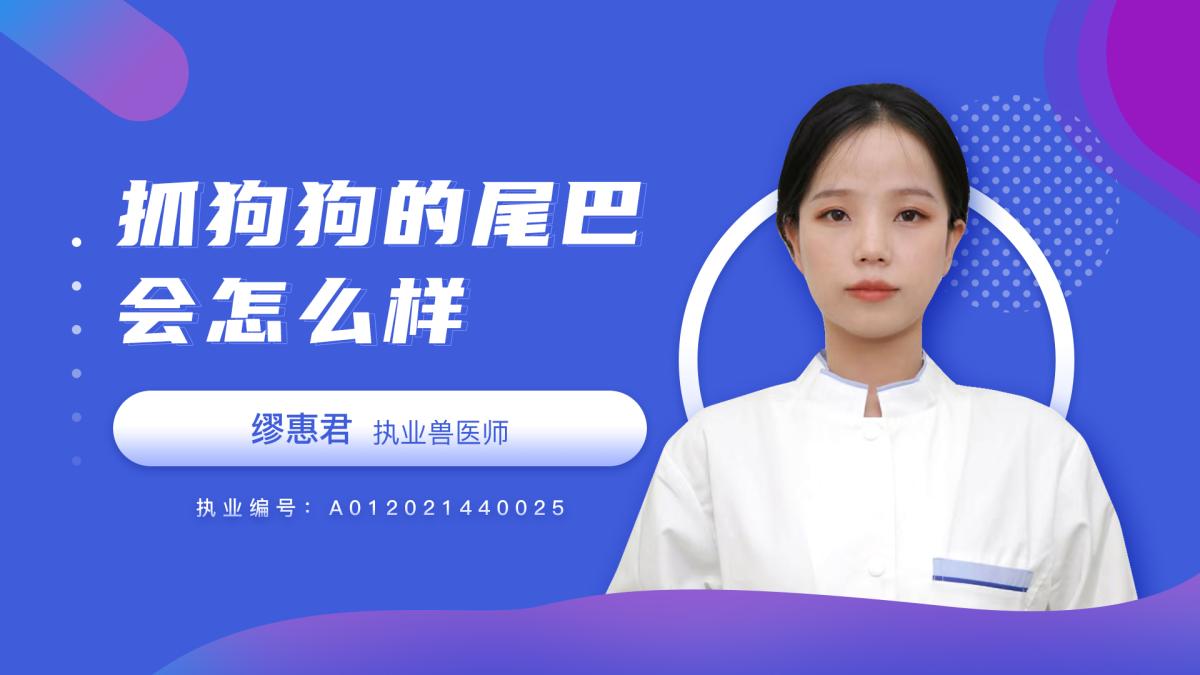 抓狗狗的尾巴会怎么样？