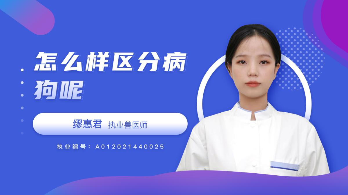 怎么樣區(qū)分病狗？