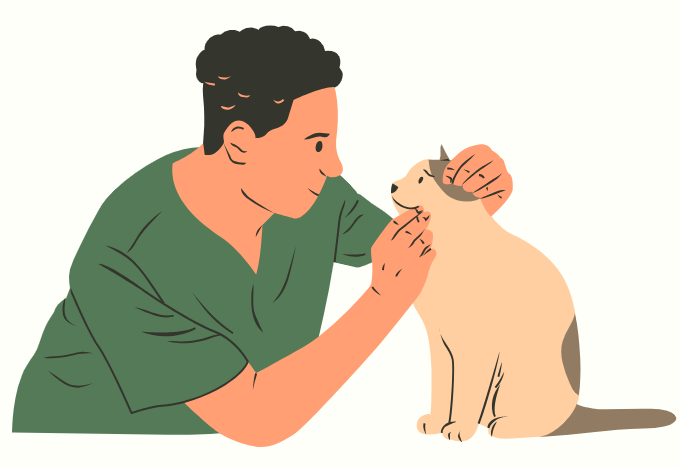 猫咪眼角总是有分泌物