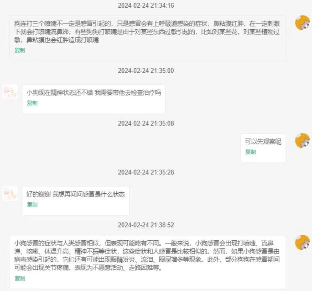 狗狗感冒的五大警示信號：及時發現，守護愛寵健康！